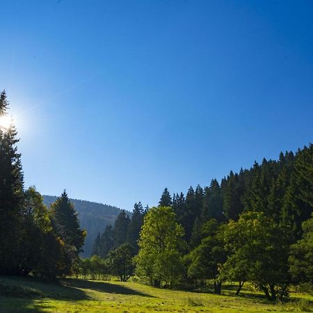 The Conscious Farmer Bed And Breakfast Sauerland Willingen  Exterior foto